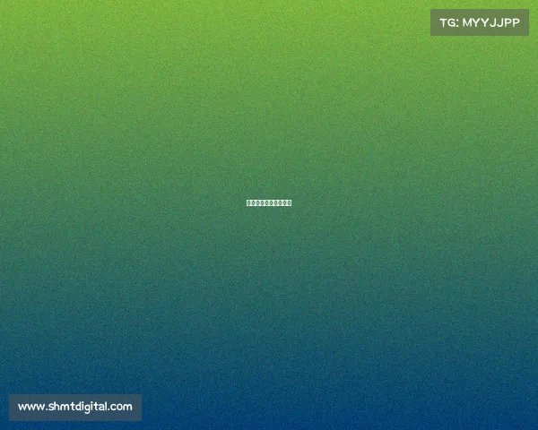 繁星电子商务有限公司